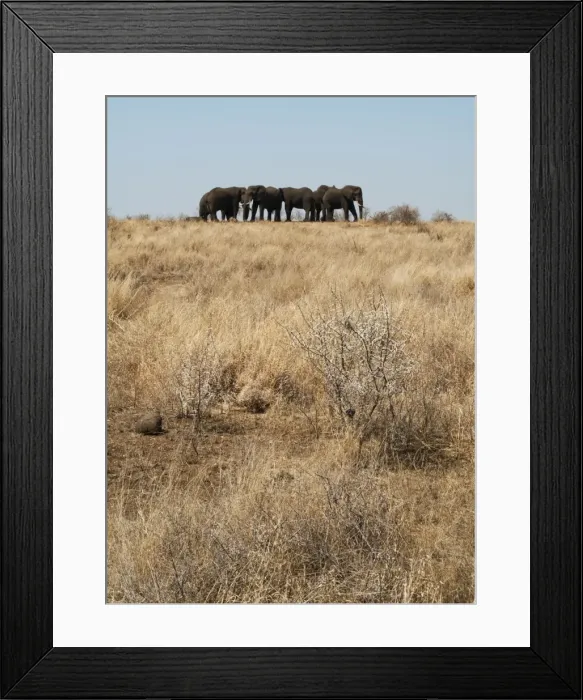 Framed Print : Picture No. 10900868 Framed Print : Picture No. 10900868
