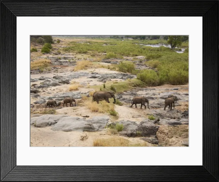 Framed Print : Picture No. 10900870 Framed Print : Picture No. 10900870