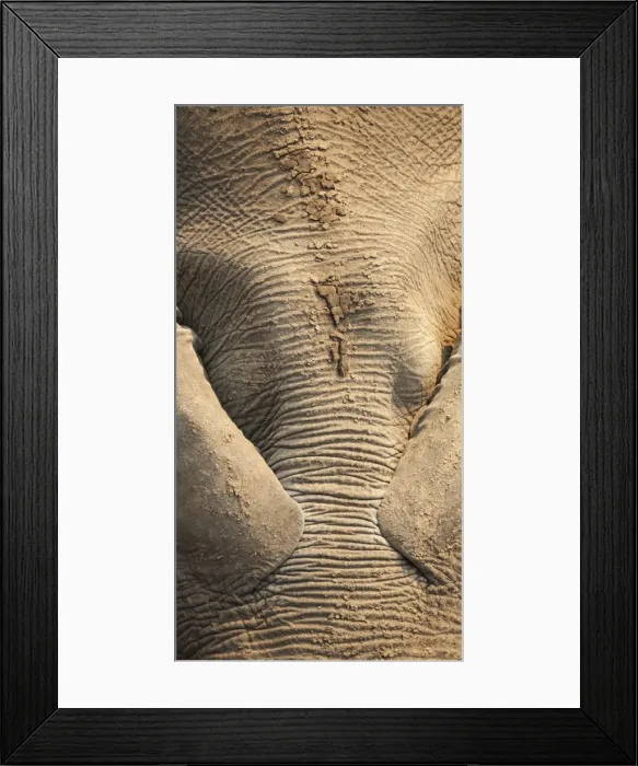 Framed Print : Picture No. 10900872 Framed Print : Picture No. 10900872