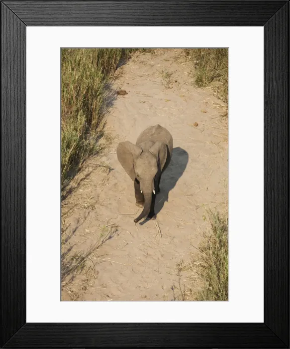 Framed Print : Picture No. 10900874 Framed Print : Picture No. 10900874