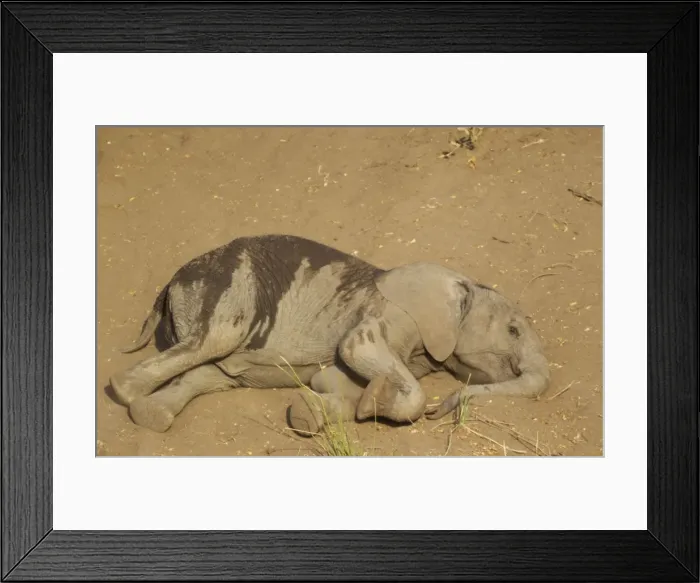 Framed Print : Picture No. 10900882 Framed Print : Picture No. 10900882