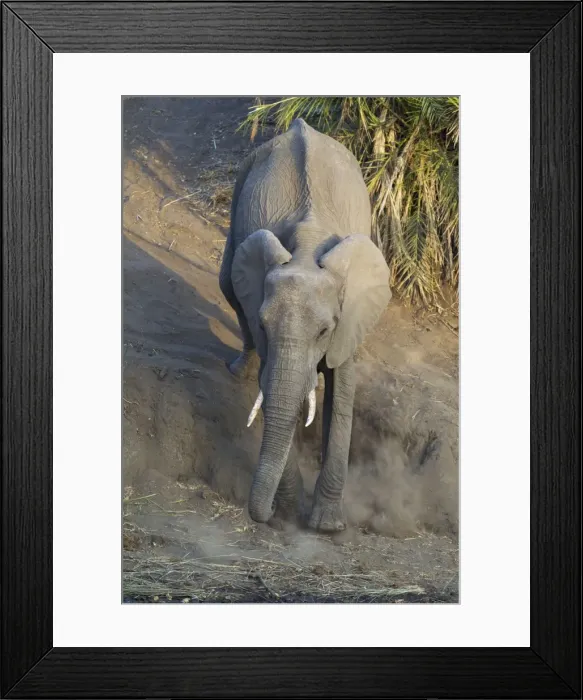 Framed Print : Picture No. 10900887 Framed Print : Picture No. 10900887