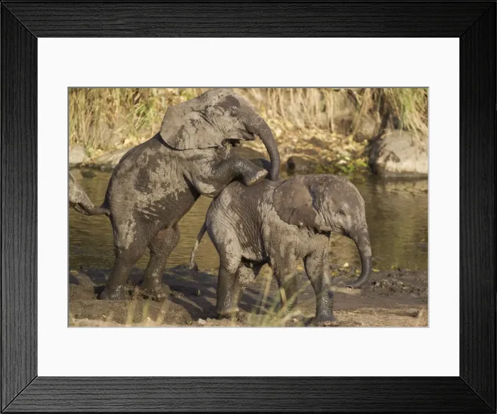 Framed Print : Picture No. 10900885 Framed Print : Picture No. 10900885