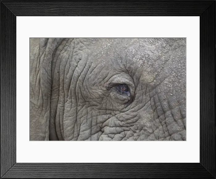 Framed Print : Picture No. 10900890 Framed Print : Picture No. 10900890