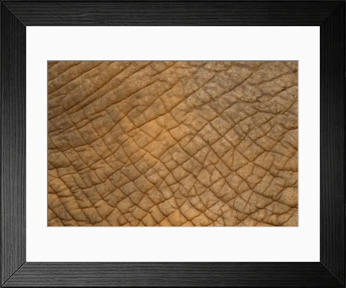 Framed Print : Picture No. 10900894 Framed Print : Picture No. 10900894