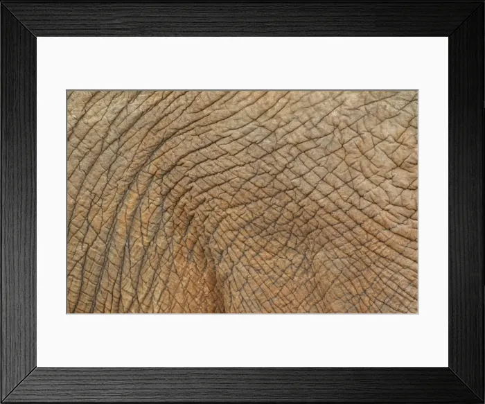 Framed Print : Picture No. 10900893 Framed Print : Picture No. 10900893