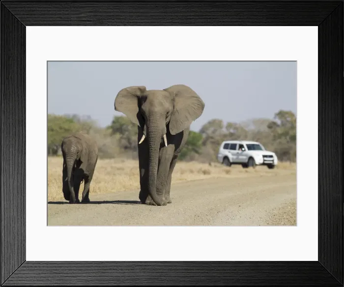 Framed Print : Picture No. 10900897 Framed Print : Picture No. 10900897