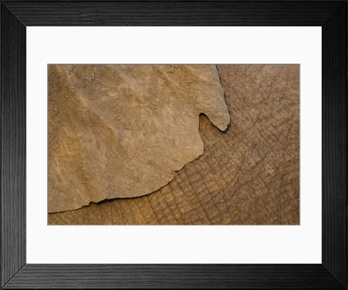 Framed Print : Picture No. 10900891 Framed Print : Picture No. 10900891