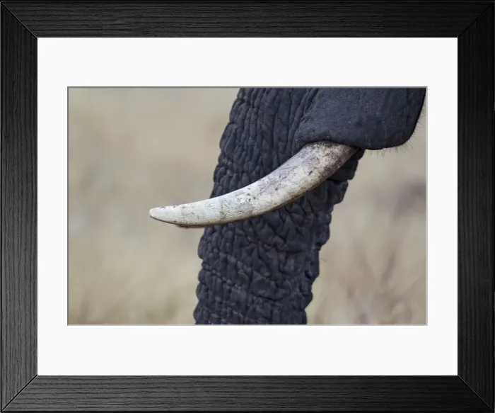 Framed Print : Picture No. 10900896 Framed Print : Picture No. 10900896