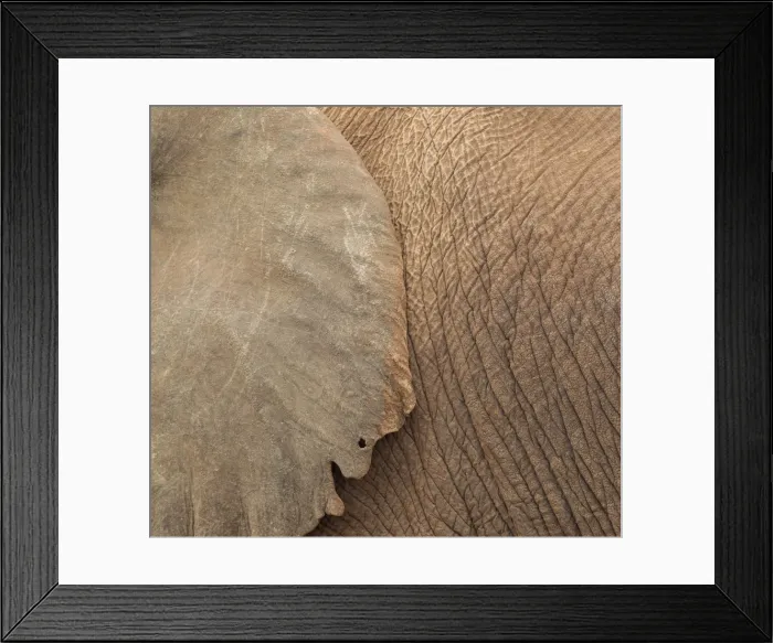 Framed Print : Picture No. 10900892 Framed Print : Picture No. 10900892