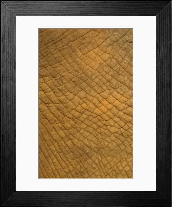 Framed Print : Picture No. 10900895 Framed Print : Picture No. 10900895