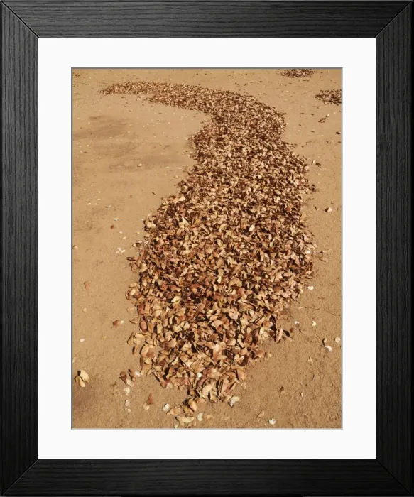 Framed Print : Picture No. 10900931 Framed Print : Picture No. 10900931