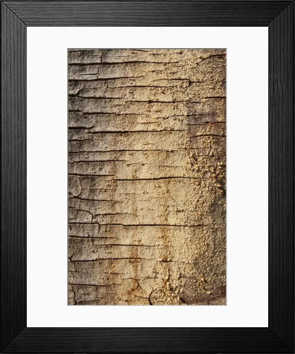 Framed Print : Picture No. 10900935 Framed Print : Picture No. 10900935