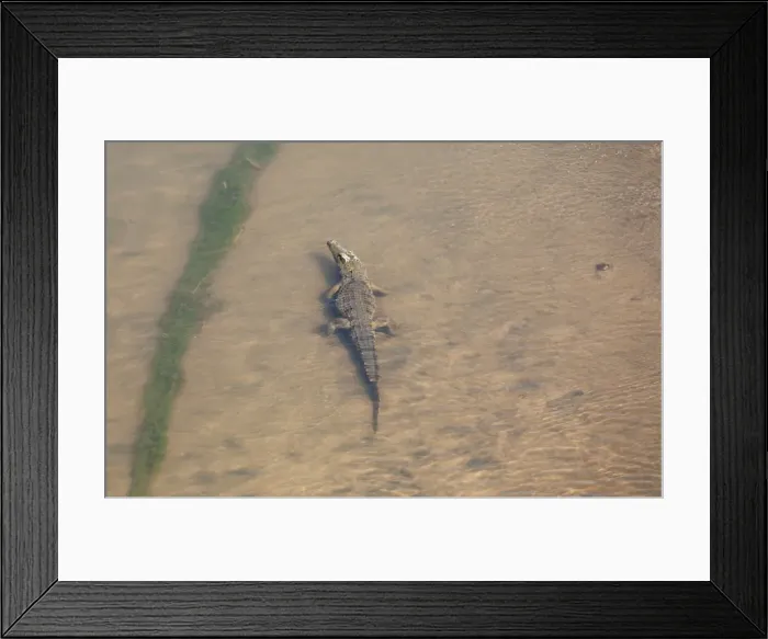 Framed Print : Picture No. 10900939 Framed Print : Picture No. 10900939