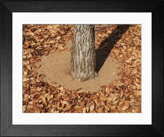 Framed Print : Picture No. 10900934 Framed Print : Picture No. 10900934