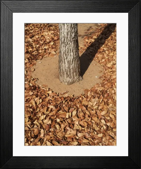 Framed Print : Picture No. 10900933 Framed Print : Picture No. 10900933