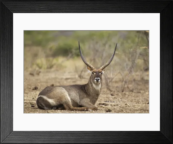 Framed Print : Picture No. 10900951 Framed Print : Picture No. 10900951