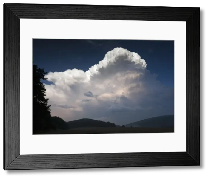 Framed Print : Picture No. 10900958 Framed Print : Picture No. 10900958