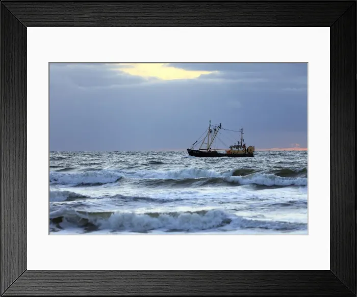 Framed Print : Picture No. 10900957 Framed Print : Picture No. 10900957