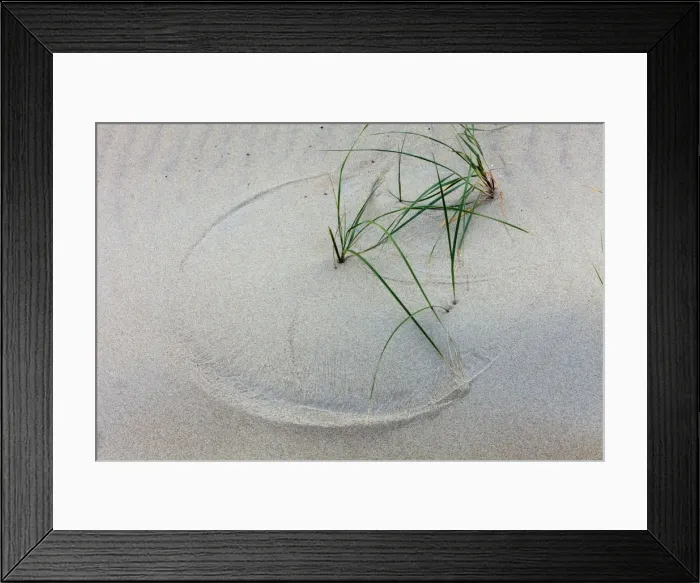 Framed Print : Picture No. 10900960 Framed Print : Picture No. 10900960