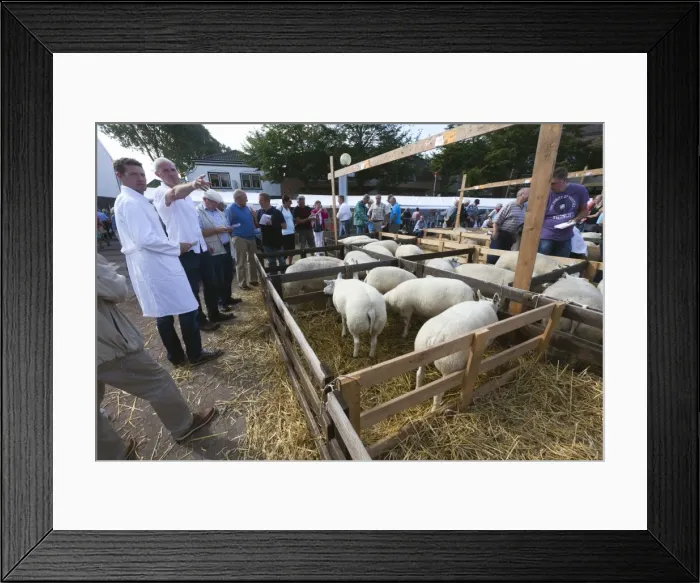 Framed Print : Picture No. 10900974 Framed Print : Picture No. 10900974