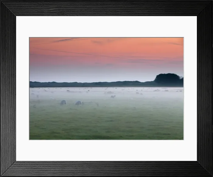 Framed Print : Picture No. 10900973 Framed Print : Picture No. 10900973