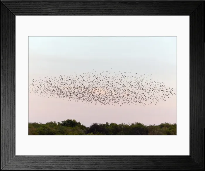 Framed Print : Picture No. 10900979 Framed Print : Picture No. 10900979