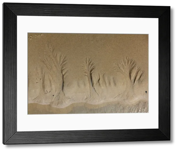 Framed Print : Picture No. 10900968