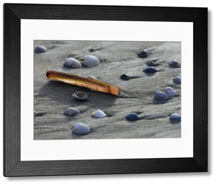 Framed Print : Picture No. 10900982 Framed Print : Picture No. 10900982