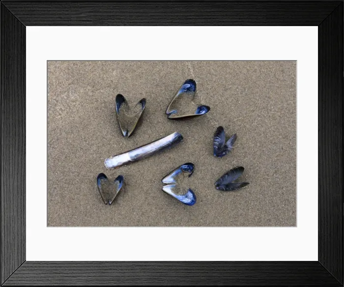 Framed Print : Picture No. 10900983 Framed Print : Picture No. 10900983