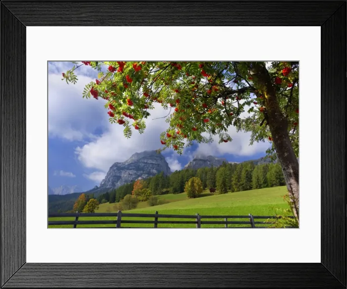 Framed Print : Picture No. 10896890 Framed Print : Picture No. 10896890
