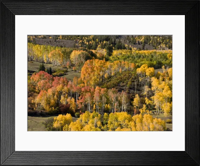 Framed Print : Picture No. 10899440 Framed Print : Picture No. 10899440