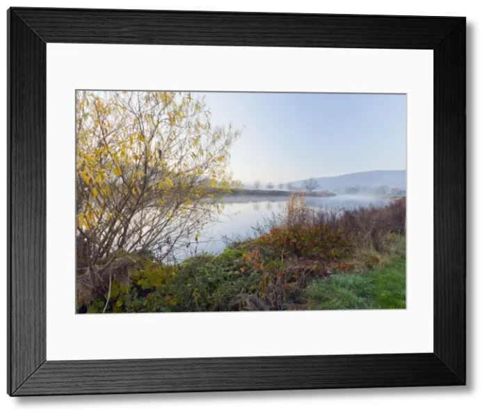 Framed Print : Picture No. 10900988