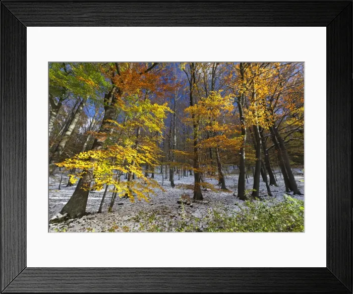 Framed Print : Picture No. 10900999 Framed Print : Picture No. 10900999