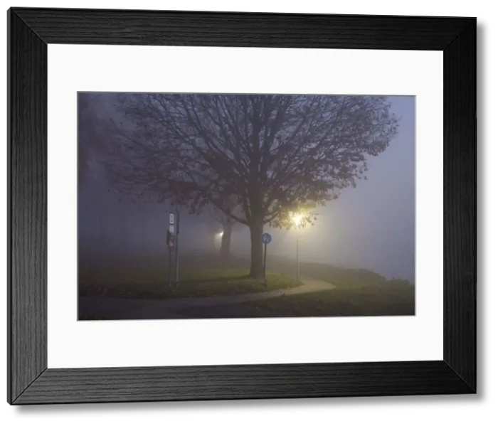 Framed Print : Picture No. 10901030 Framed Print : Picture No. 10901030