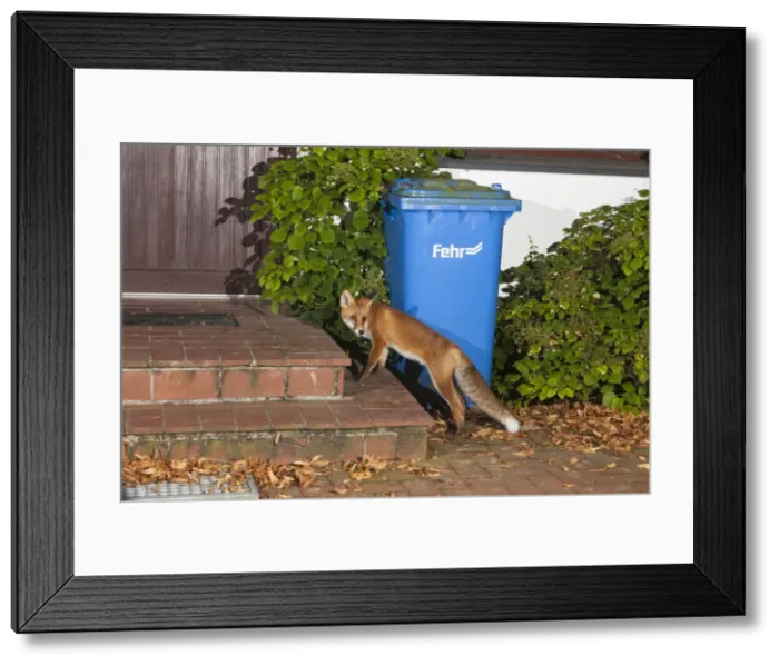 Framed Print : Picture No. 10901022 Framed Print : Picture No. 10901022