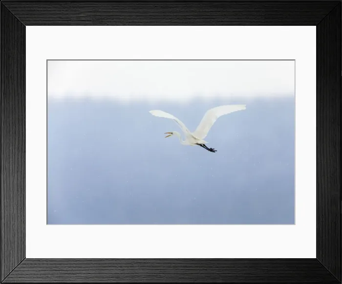 Framed Print : Picture No. 10901115 Framed Print : Picture No. 10901115