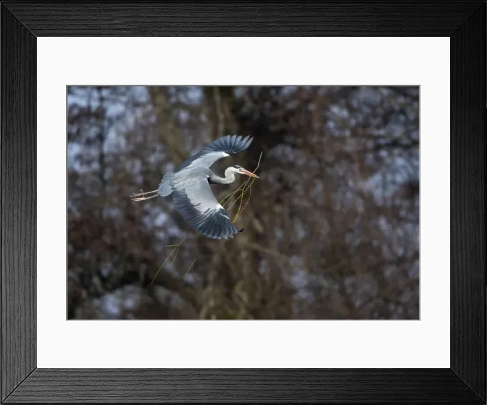 Framed Print : Picture No. 10901121 Framed Print : Picture No. 10901121