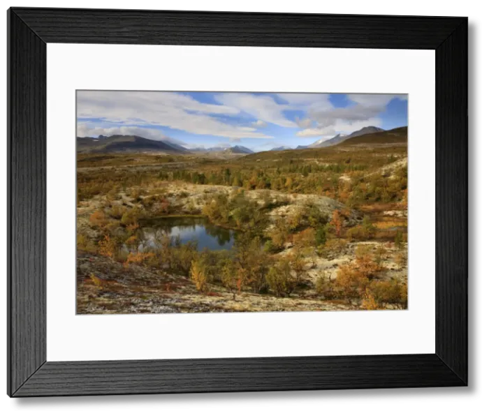 Framed Print : Picture No. 10901143