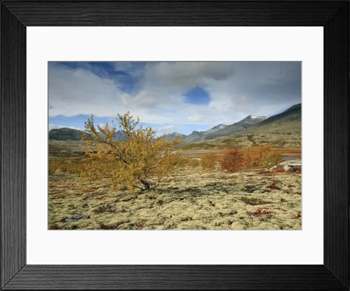 Framed Print : Picture No. 10901144 Framed Print : Picture No. 10901144