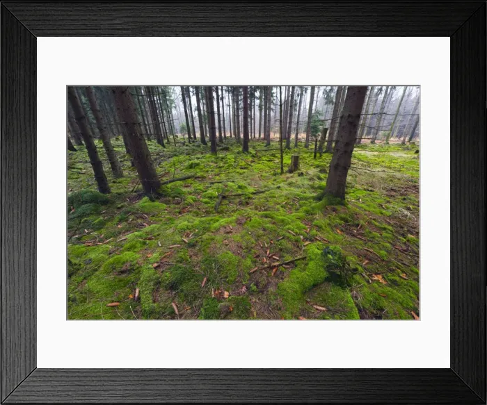 Framed Print : Picture No. 10901141 Framed Print : Picture No. 10901141