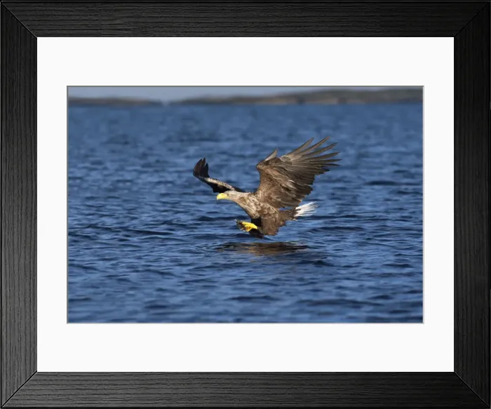 Framed Print : Picture No. 10901164 Framed Print : Picture No. 10901164