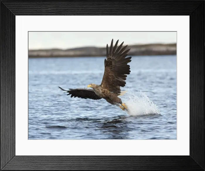 Framed Print : Picture No. 10901166 Framed Print : Picture No. 10901166