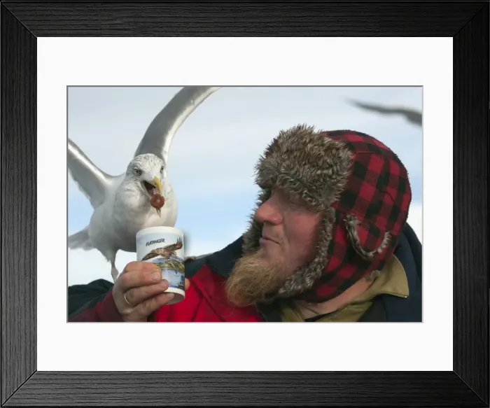 Framed Print : Picture No. 10901174 Framed Print : Picture No. 10901174