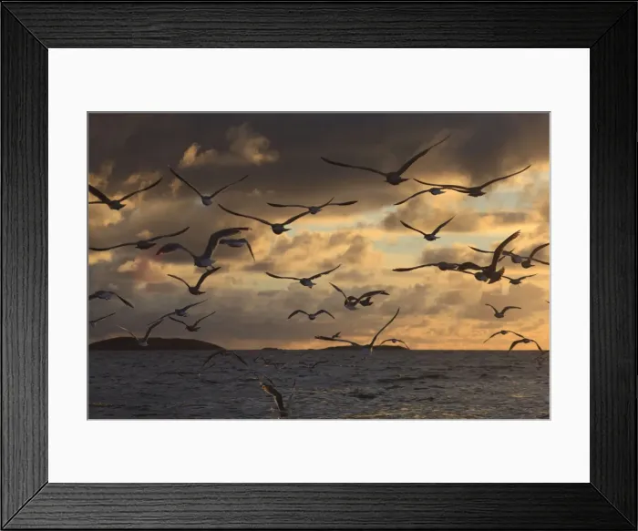 Framed Print : Picture No. 10901175 Framed Print : Picture No. 10901175