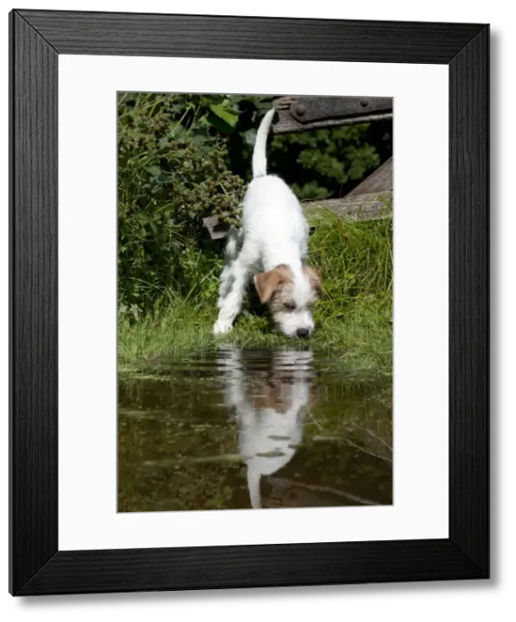 Framed Print : Picture No. 10901200 Framed Print : Picture No. 10901200