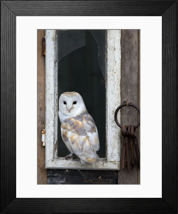 Framed Print : Picture No. 10901267 Framed Print : Picture No. 10901267
