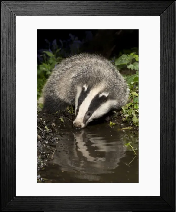Framed Print : Picture No. 10901266 Framed Print : Picture No. 10901266