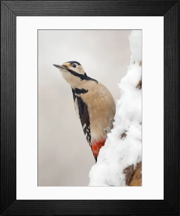 Framed Print : Picture No. 10901293 Framed Print : Picture No. 10901293