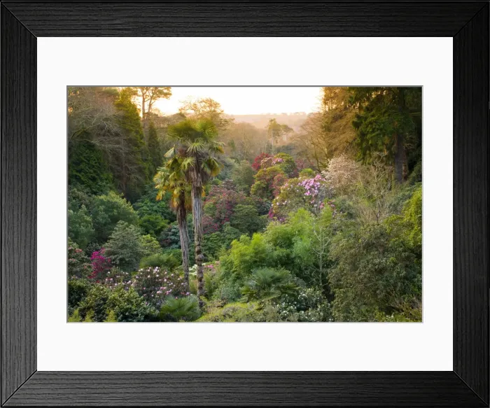 Framed Print : Picture No. 10901331 Framed Print : Picture No. 10901331